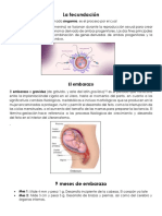 La Fecundacion