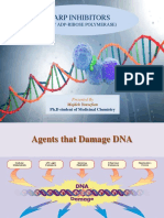 PARP INHIBITORS: DNA REPAIR PATHWAYS