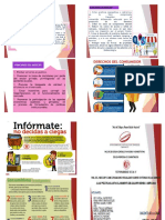 Tripticos de Proyecto PDF