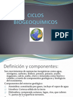 ciclos