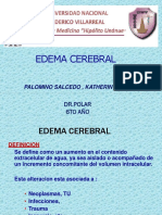 Edema Cerebral