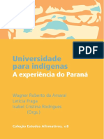 Universidade para indígenas - a experiência do Paraná