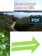 30421757-Pantanos-de-Villa.ppt