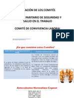 Conformacion Comites