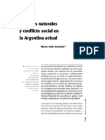 Recursos Naturales y Conflictos Sociales en Patagonia