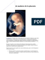 Los grados de madurez de la placenta.docx
