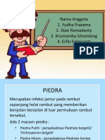 Presentasi Piedra Kelompok 7