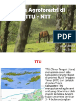 Sistem Agroforestri Di Pulau Timor - NTT