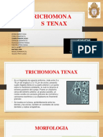 Trichomonas Tenax