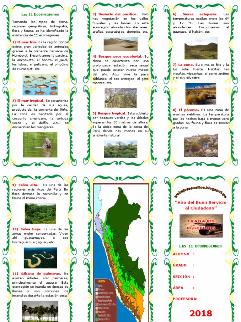 Tríptico De Las 8 Regiones Naturales Del Perú Un Poco De Todo – WXSPZZ