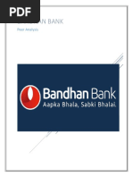 Bandhan Bank Project