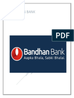 Bandhan Bank Project