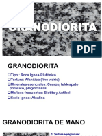 Granodiorita Seccion Delgada