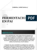 FERMENTACION_EN PAI.pdf