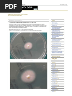 Fungi Classification and Nomenclature