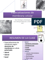 Especilizaciones de Membranas Celulares