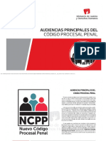 Audiencias Principales Del CPP PDF