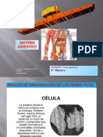 ciencias_5to_basico_sistema-digestivo.pptx