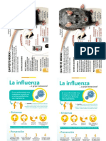 Material Didactico - Influenza