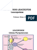 Aula de Leucócitos - Aula 7