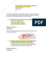 La Vía Extrapiramidal Preguntas