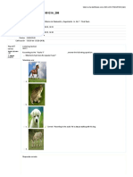 Evaluacion Ingles PDF