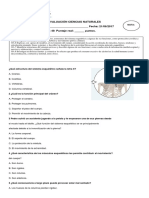 4° Prueba Ciencias