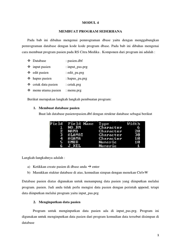 Pemrograman Dbase untuk Data Pasien | PDF