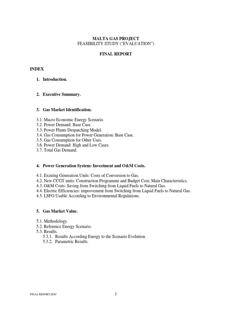 Eni Gas Pipeline Final Report PDF | PDF | Natural Gas | Electricity ...