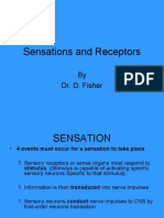 Sensations and Receptors: by Dr. D. Fisher