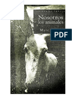 Experimentan Dolor y Ansiedad Los Animales PDF