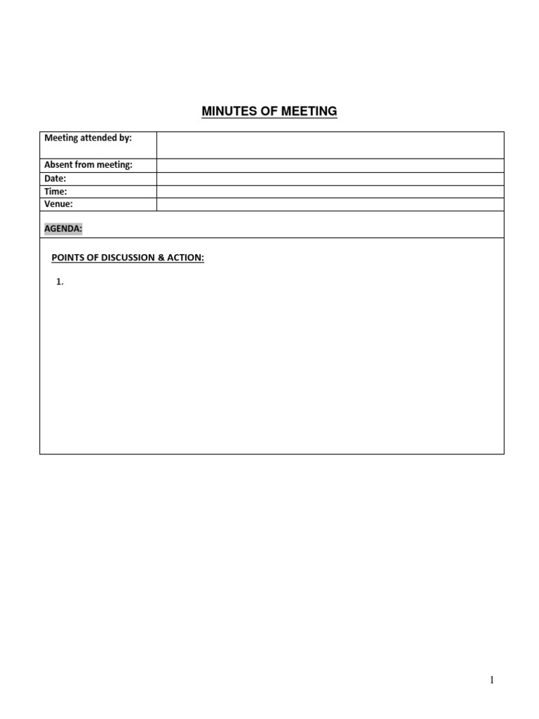 Minutes of Meeting: Points of Discussion & Action | PDF