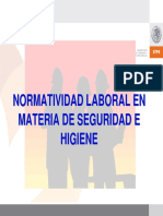 NOMSEGURIDADHIGIENE.pdf