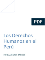 Los Derechos Humanos en El Perú - Nociones Básicas.