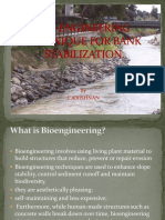 Bio-Engineering Technique for Bank Stabilization