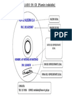 Rotulado para CD PDF