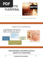 Sprueche Per Trencar El Gel