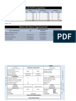 Matriz Briceño