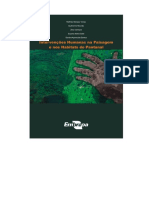 Intervenções_Humanas_no_Pantanal-2009.pdf