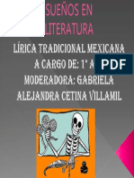 El Sueño de La Literatura