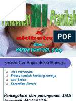 Pendidikan Sex Pranikah 2