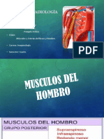 Anatomía Radiología