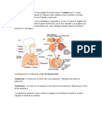 El Sistema Respiratorio