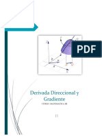 Derivada Direccional