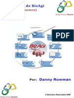 Manual_De_BizAgi-ROWMAN.pdf