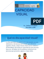 Discapacidad Visual Pilar