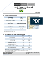 Información Básica de BRASIL