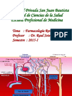 Clase 17 Renal