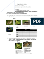 Especialidad de Anfibios - Resuelto