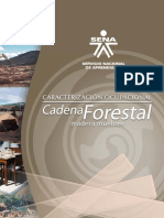 Cadena Forestal, Madera, Muebles y Productos de Madera